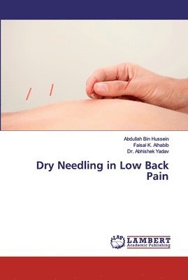 Dry Needling in Low Back Pain 1