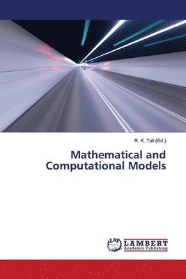 bokomslag Mathematical and Computational Models