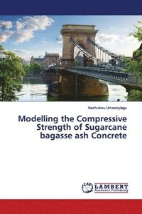 bokomslag Modelling the Compressive Strength of Sugarcane bagasse ash Concrete