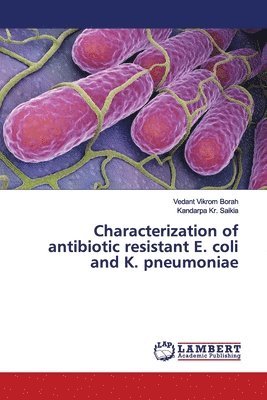 Characterization of antibiotic resistant E. coli and K. pneumoniae 1
