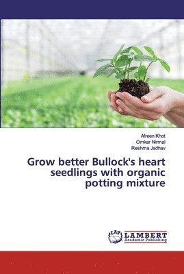 Grow better Bullock's heart seedlings with organic potting mixture 1