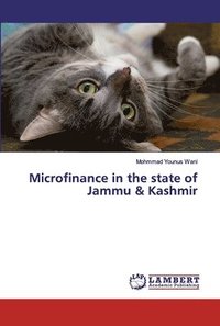 bokomslag Microfinance in the state of Jammu & Kashmir