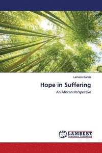 bokomslag Hope in Suffering