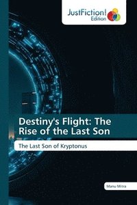 bokomslag Destiny's Flight