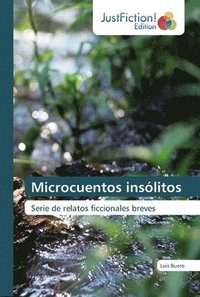 bokomslag Microcuentos inslitos