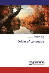 bokomslag Origin of Language