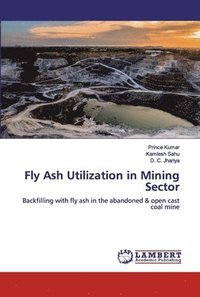 bokomslag Fly Ash Utilization in Mining Sector