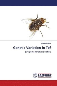 bokomslag Genetic Variation in Tef