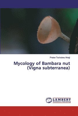 bokomslag Mycology of Bambara nut (Vigna subterranea)