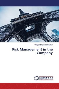 bokomslag Risk Management in the Company