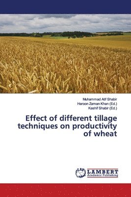 bokomslag Effect of Different Tillage Techniques on Productivity of Wheat