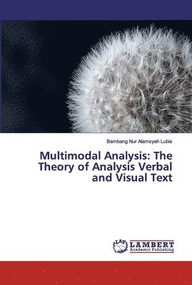 bokomslag Multimodal Analysis