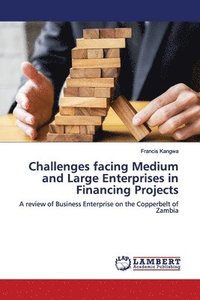 bokomslag Challenges facing Medium and Large Enterprises in Financing Projects