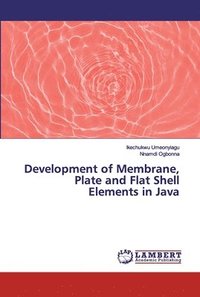 bokomslag Development of Membrane, Plate and Flat Shell Elements in Java