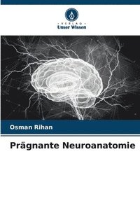 bokomslag Prgnante Neuroanatomie