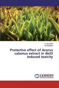 bokomslag Protective effect of Acorus calamus extract in Alcl3 induced toxicity