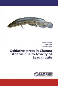 bokomslag Oxidative stress in Channa striatus due to toxicity of Lead nitrate