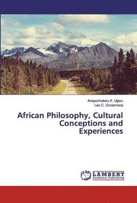 bokomslag African Philosophy, Cultural Conceptions and Experiences