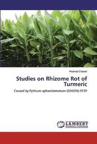 bokomslag Studies on Rhizome Rot of Turmeric