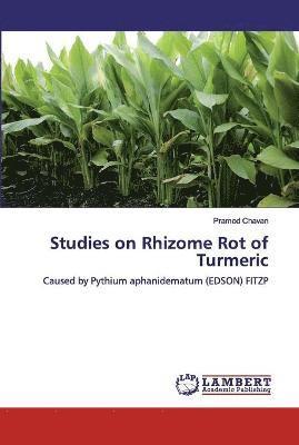 Studies on Rhizome Rot of Turmeric 1