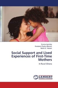 bokomslag Social Support and Lived Experiences of First-Time Mothers