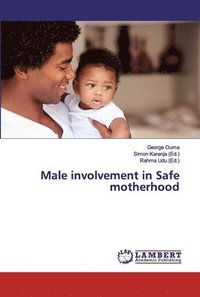 bokomslag Male involvement in Safe motherhood