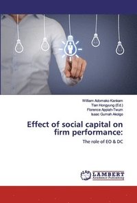 bokomslag Effect of social capital on firm performance