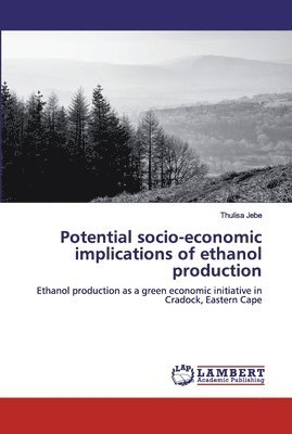 Potential socio-economic implications of ethanol production 1