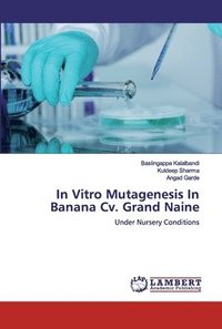 bokomslag In Vitro Mutagenesis In Banana Cv. Grand Naine