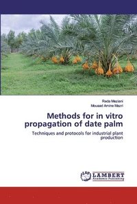 bokomslag Methods for in vitro propagation of date palm