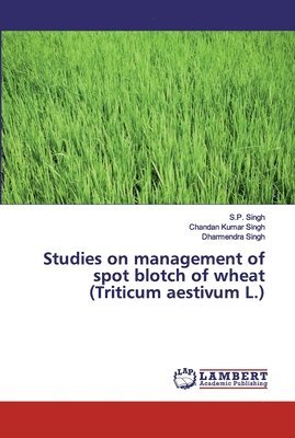 Studies on management of spot blotch of wheat (Triticum aestivum L.) 1