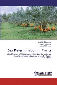 bokomslag Sex Determination in Plants