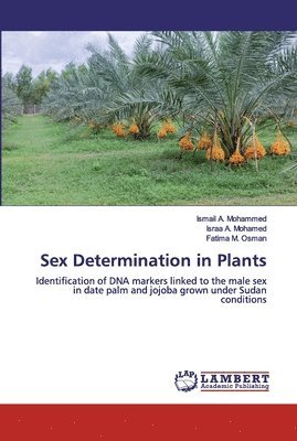 Sex Determination in Plants 1