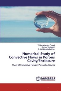 bokomslag Numerical Study of Convective Flows in Porous Cavity/Enclosure