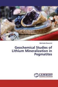 bokomslag Geochemical Studies of Lithium Mineralization in Pegmatites