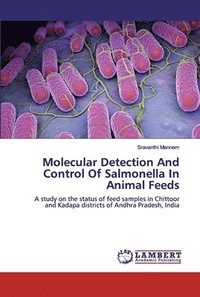 bokomslag Molecular Detection And Control Of Salmonella In Animal Feeds