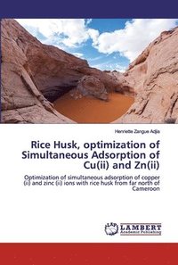 bokomslag Rice Husk, optimization of Simultaneous Adsorption of Cu(ii) and Zn(ii)