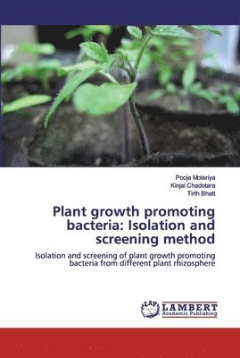 Plant growth promoting bacteria 1