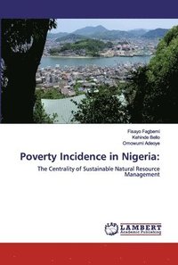 bokomslag Poverty Incidence in Nigeria