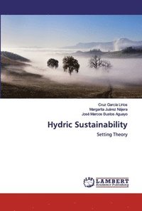 bokomslag Hydric Sustainability