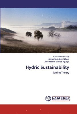 bokomslag Hydric Sustainability