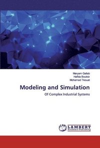 bokomslag Modeling and Simulation