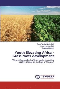 bokomslag Youth Elevating Africa - Grass roots development