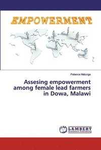 bokomslag Assesing empowerment among female lead farmers in Dowa, Malawi