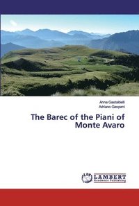 bokomslag The Barec of the Piani of Monte Avaro