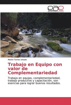 Trabajo en Equipo con valor de Complementariedad 1