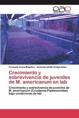 Crecimiento y sobrevivencia de juveniles de M. americanum en lab 1