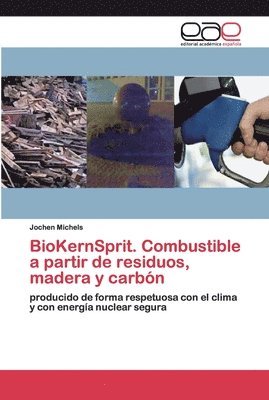 BioKernSprit. Combustible a partir de residuos, madera y carbn 1