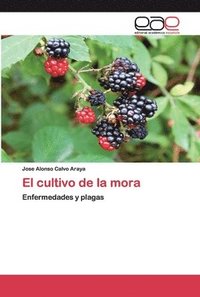 bokomslag El cultivo de la mora