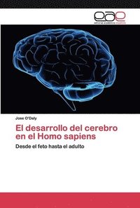 bokomslag El desarrollo del cerebro en el Homo sapiens